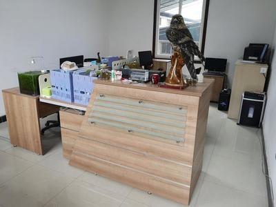 攜手共進(jìn)，再譜新篇——熱烈祝賀九度與漢武機(jī)電簽署網(wǎng)站服務(wù)協(xié)議，深化針紡織品及原料銷(xiāo)售合作